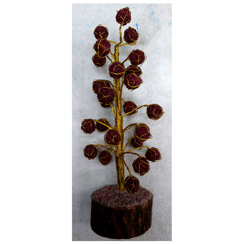 Buy Haridwar Astro Rudraksha Tree Online ₹399 from ShopClues