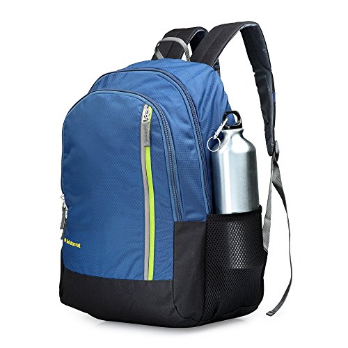 Buy Aristocrat Blue Casual Backpack (LPBPPEP3BLU) Online @ ₹936 from ...