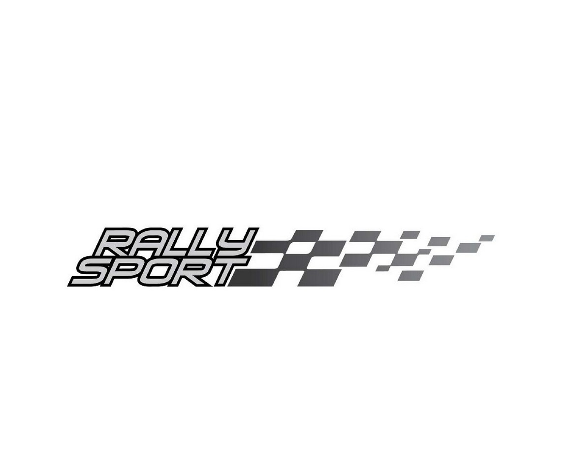 Buy Autographix Rally Sport Car Styling Graphic Decals - Set of 2 pcs ...