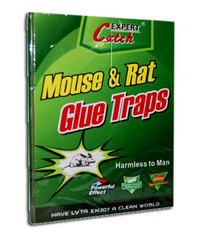 Buy Evershine Glue Trap Set of 5 for protection from ratslizards