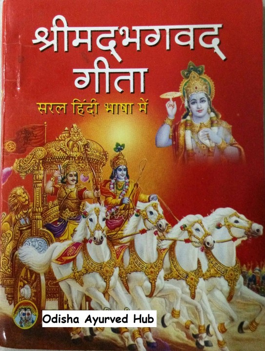 Buy 2 Piece Srimad Bhagavad Gita Book In Hindi / Shrimad Bhagavad Gita ...