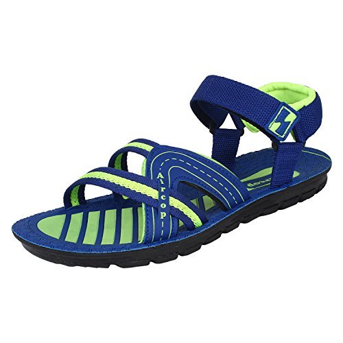 earton slides