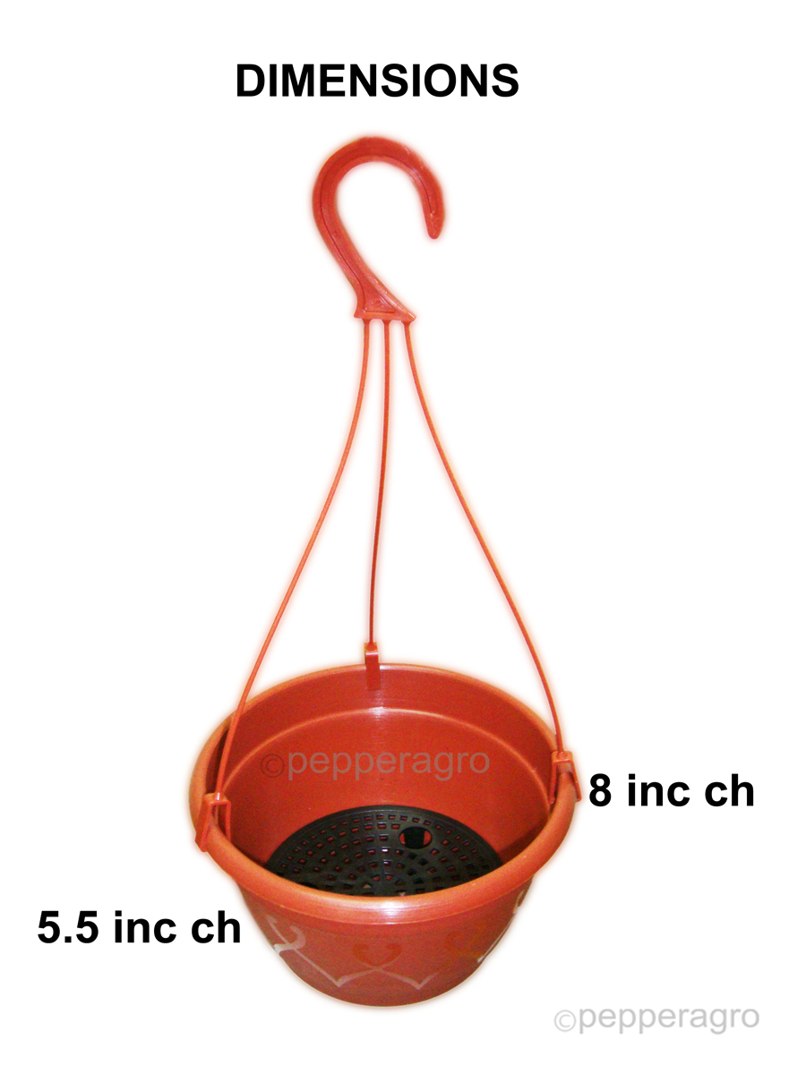 SELF WATERING POT HANGING PLANTER WITH POTTING SOIL SET OF TWO