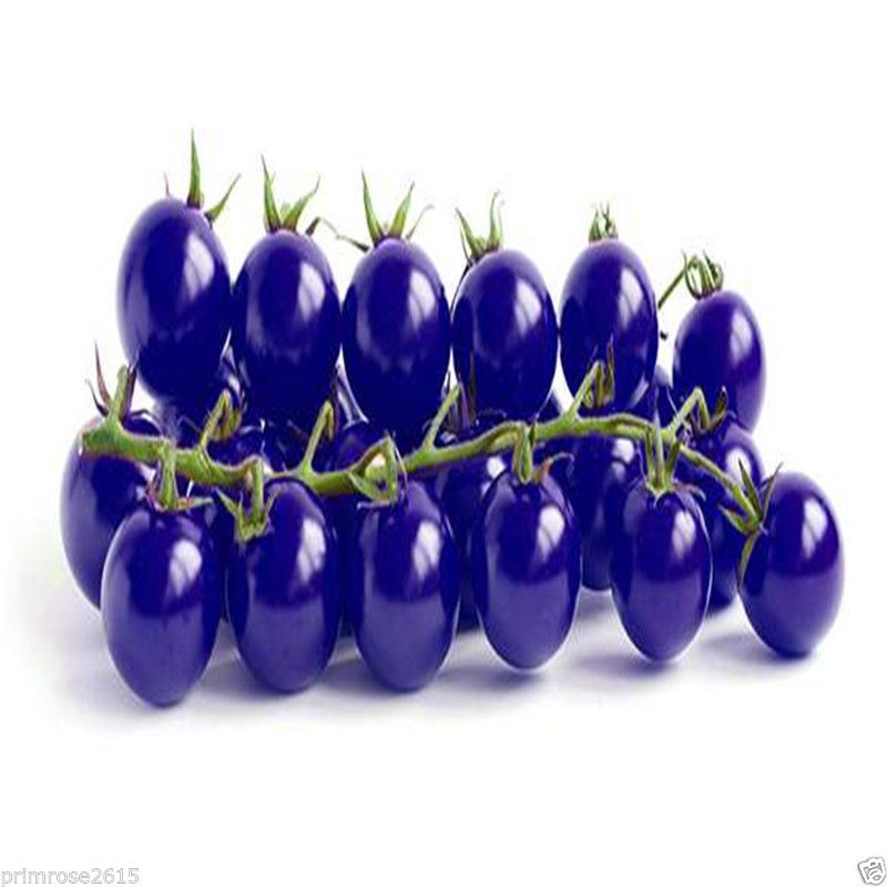 Buy Imported Purple Cherry Tomato Garden Organic Heirloom Fruit ...