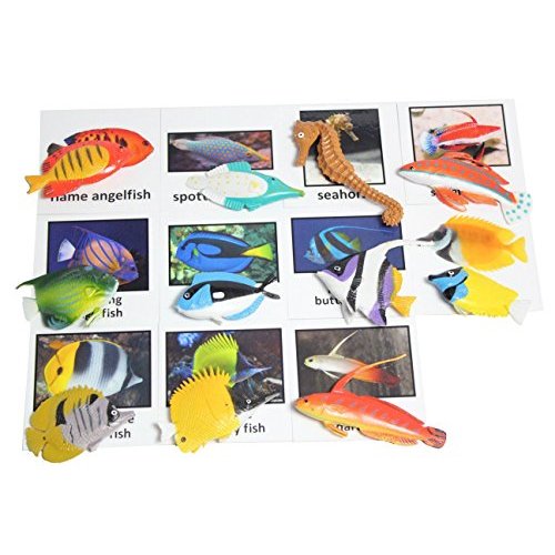 Buy Montessori Animal Match Miniature Tropical Fish Figurines With ...
