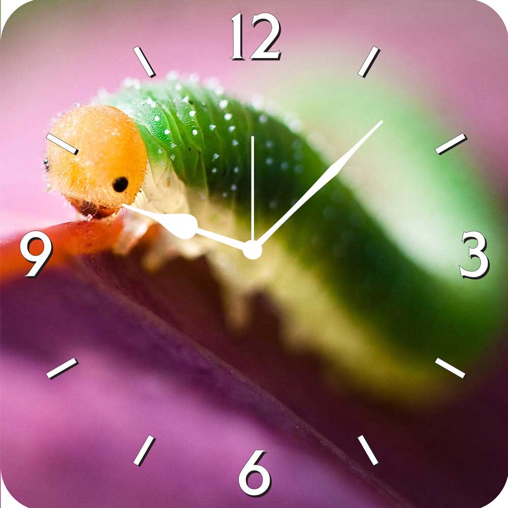 Shop FurnishFantasy Cute Caterpillar Wall Clock WLC0704 Online Shopclues
