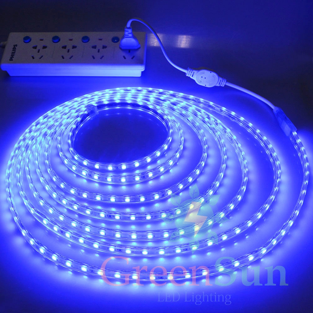 Buy BLUE 5M 3528 Waterproof LED SMD Strip, 3528 Flexible LED Strip ...