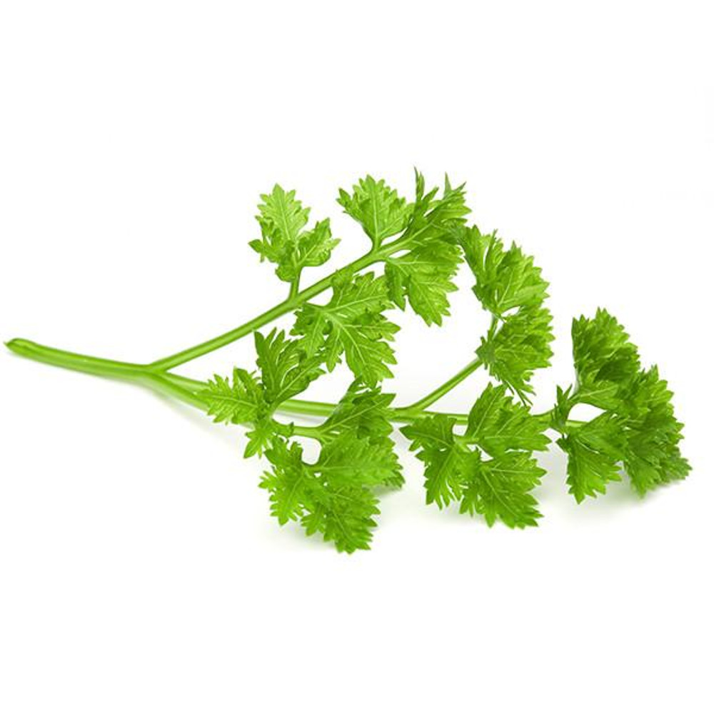 Buy Parsley Seeds, Organic Parsley Herb Leaf Vegetable Seeds Pack of