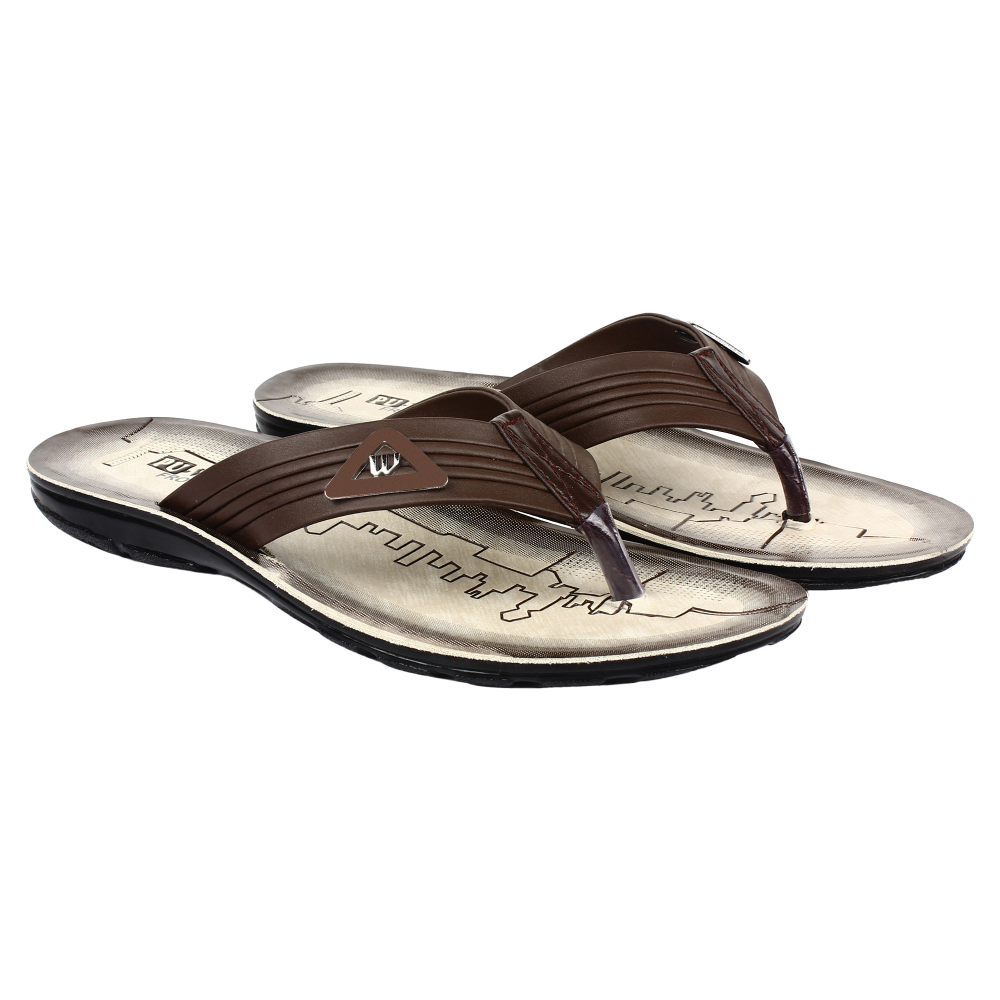 earton slides