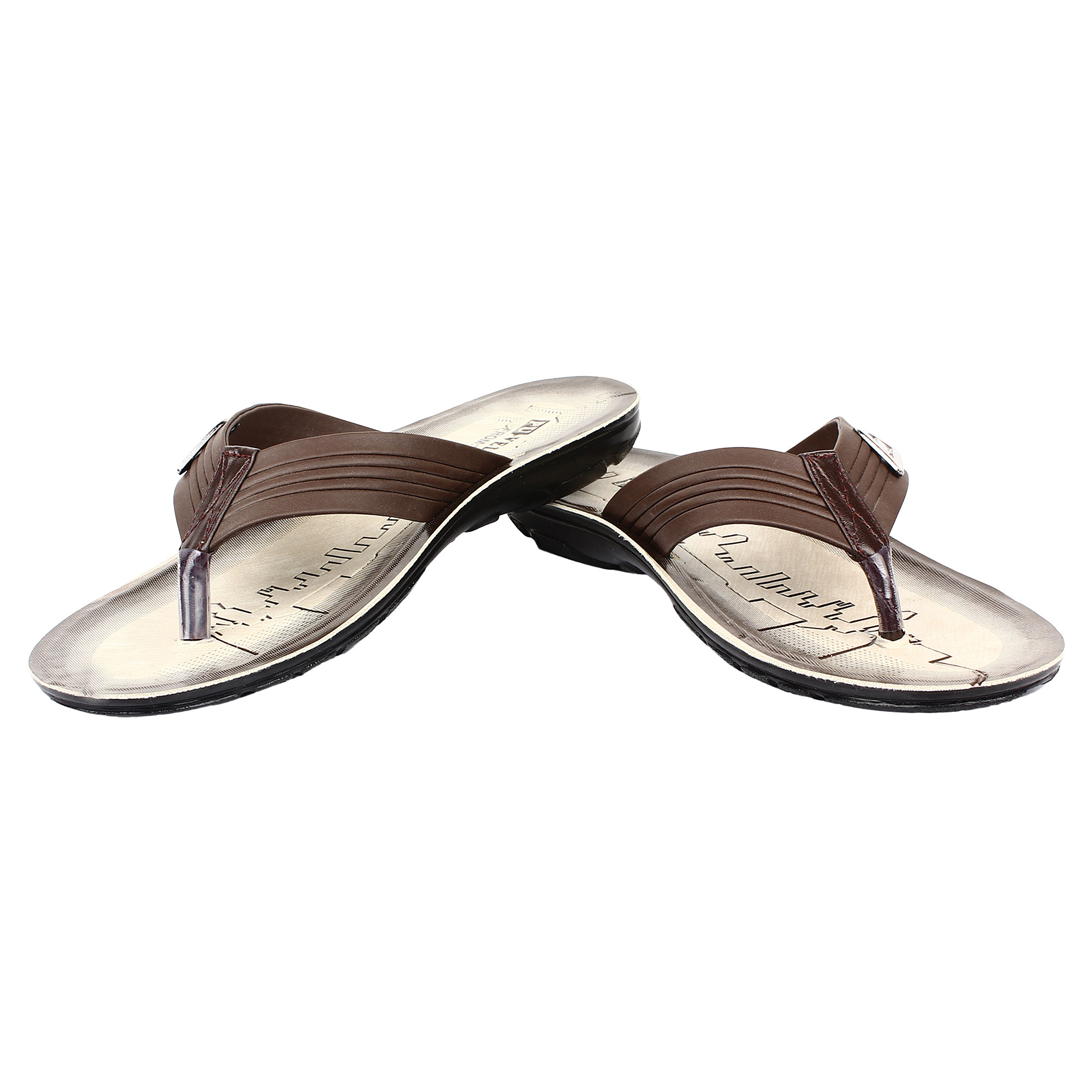 earton slides
