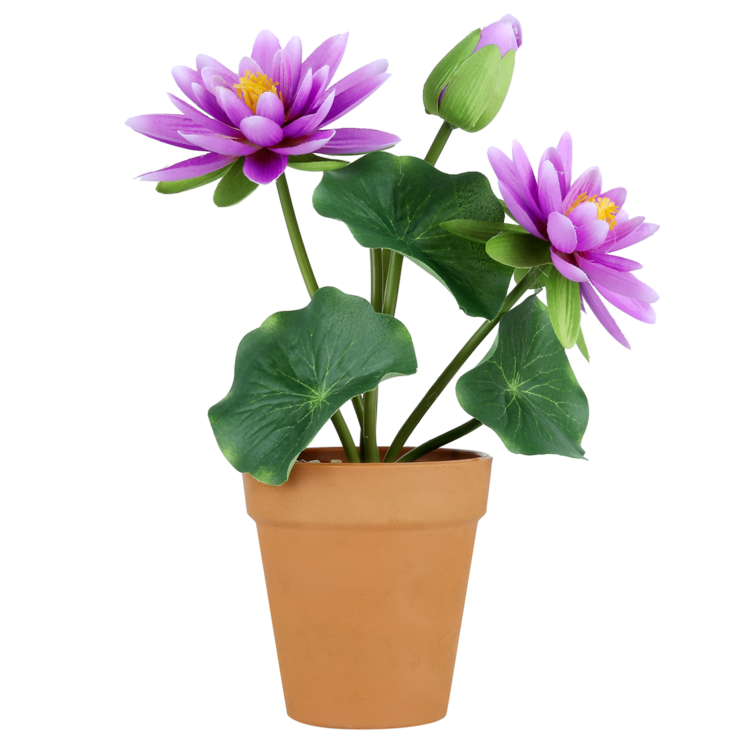 Buy Wonderland Lotus Flower pot in purple white ( Set of 2