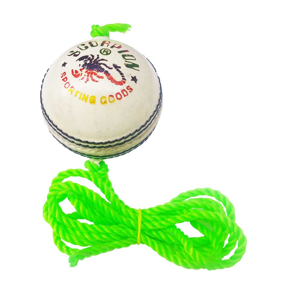 Buy White Cricket Practice Hanging Ball (Pack of 1) Leather Hanging