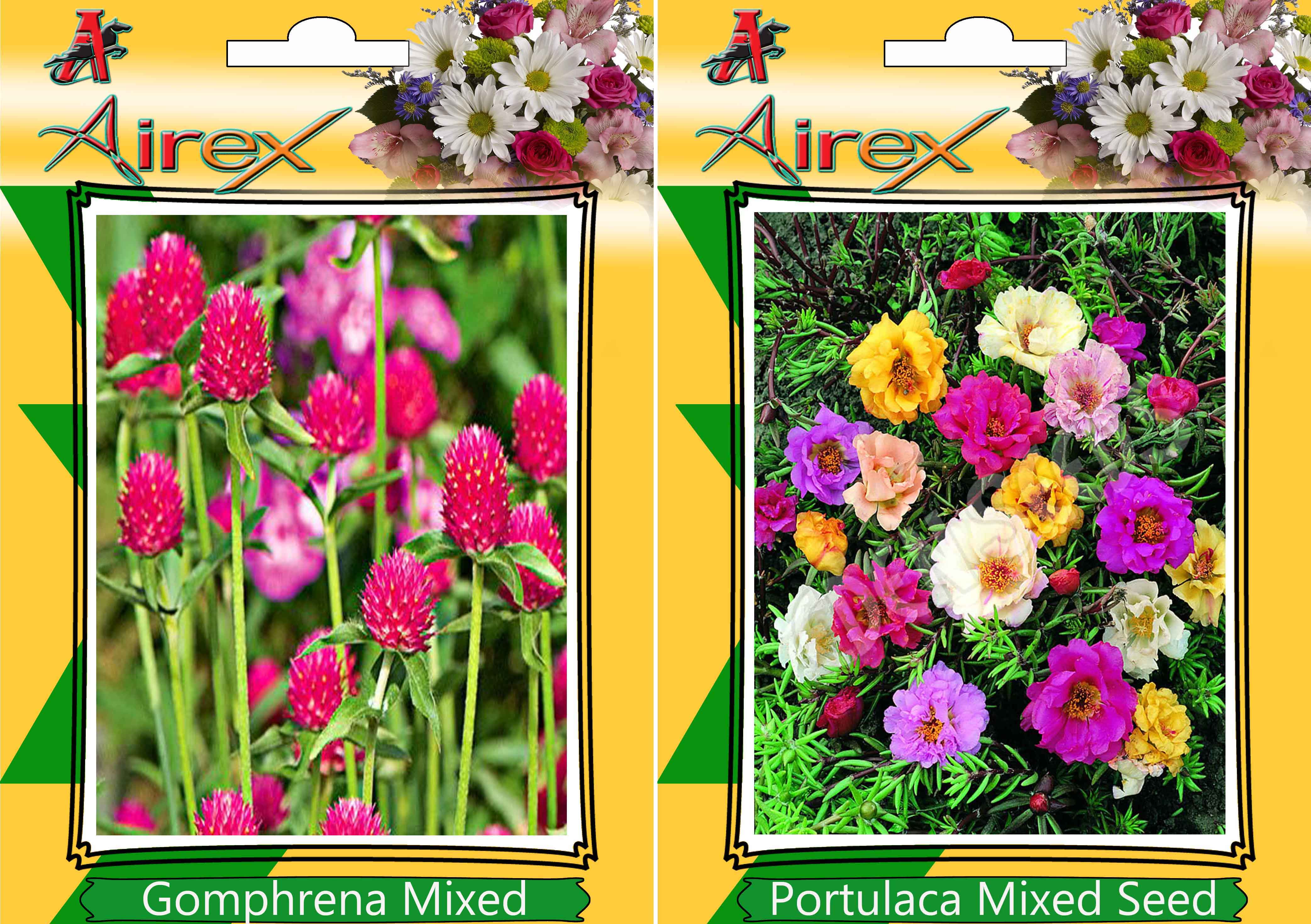 Buy Flower Seeds By Airex Gomphrena Mixed, Kochia and Cockscomb (Summer ...