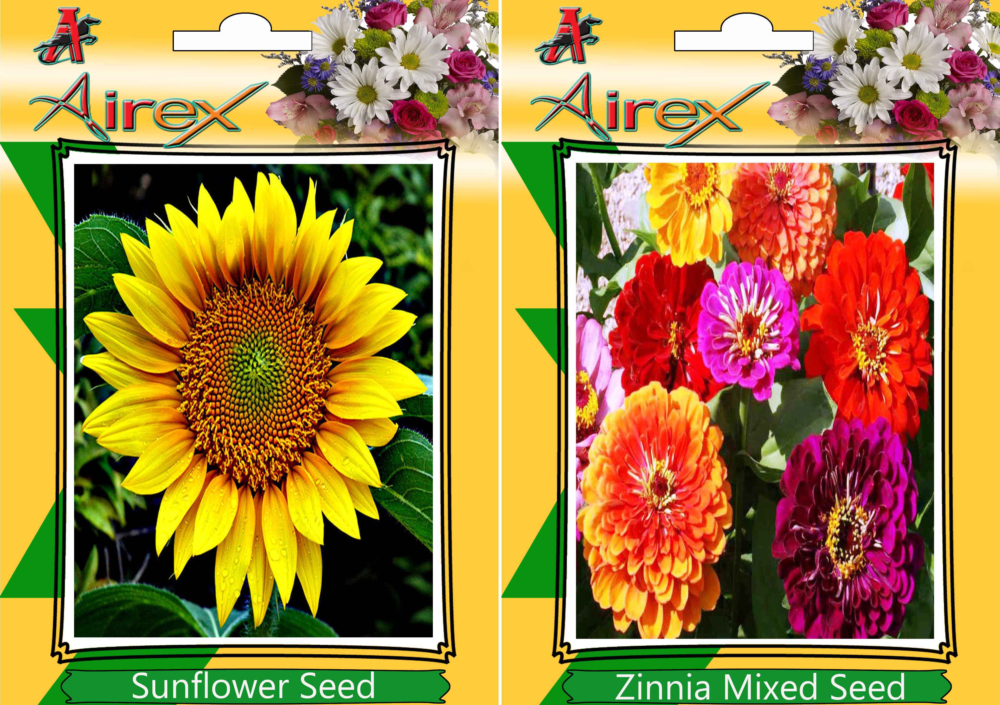 Buy Flower Seeds By Airex Sunflower, Kochia and (Summer