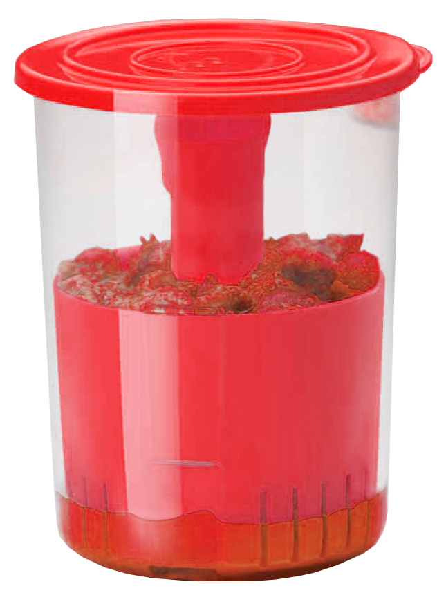 Buy Apex Plastic Pickle Container [Set of 1] Online ₹179 from ShopClues