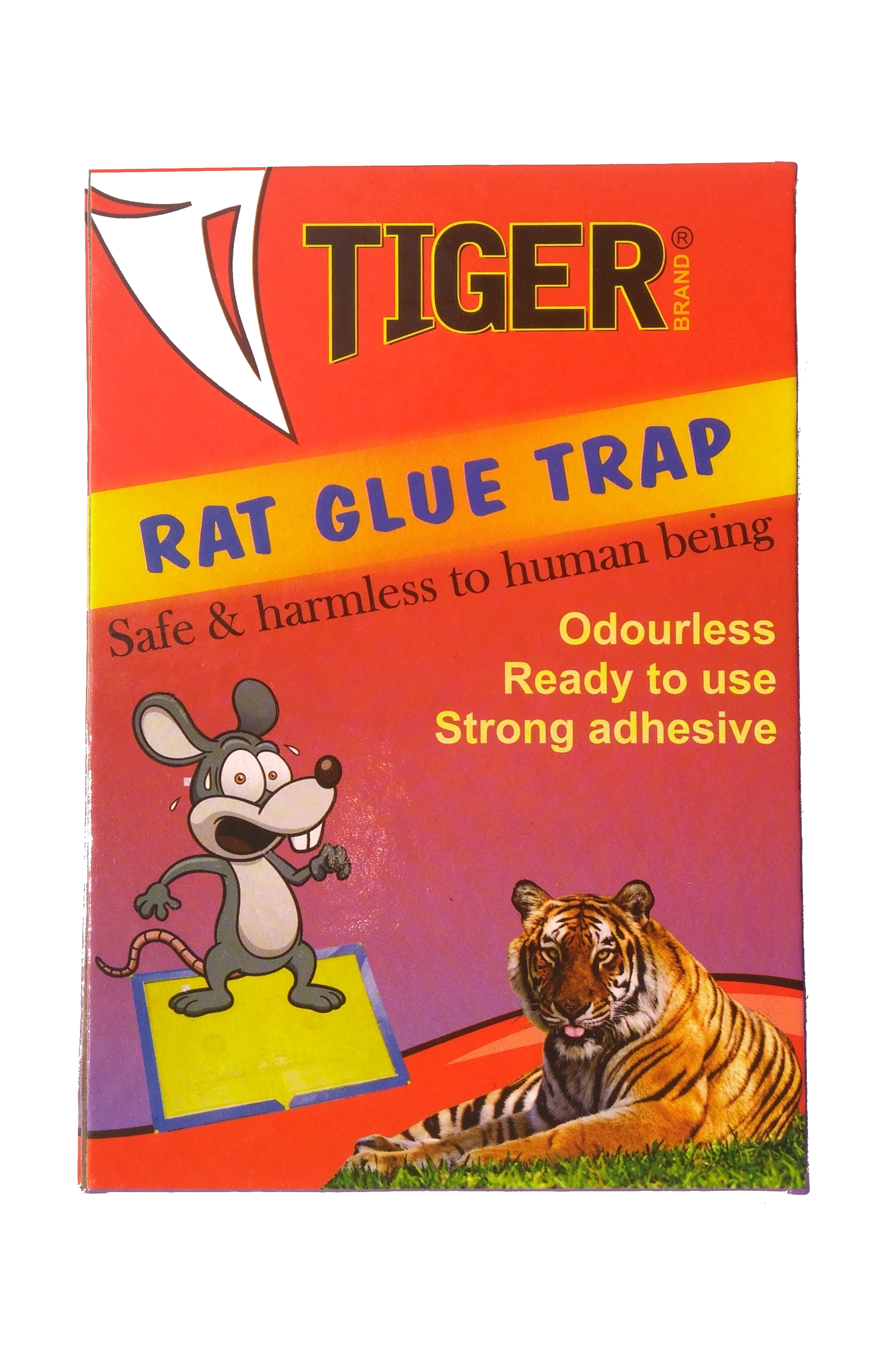 Buy Tiger Rat Glue Trap Set Of 5 Mouse Trap NonToxic Glue Pad Safe For Pets And Children (9X7