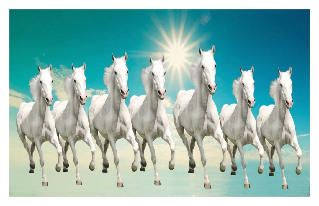 Buy Horse Poster horse posters running horse poster horse wall