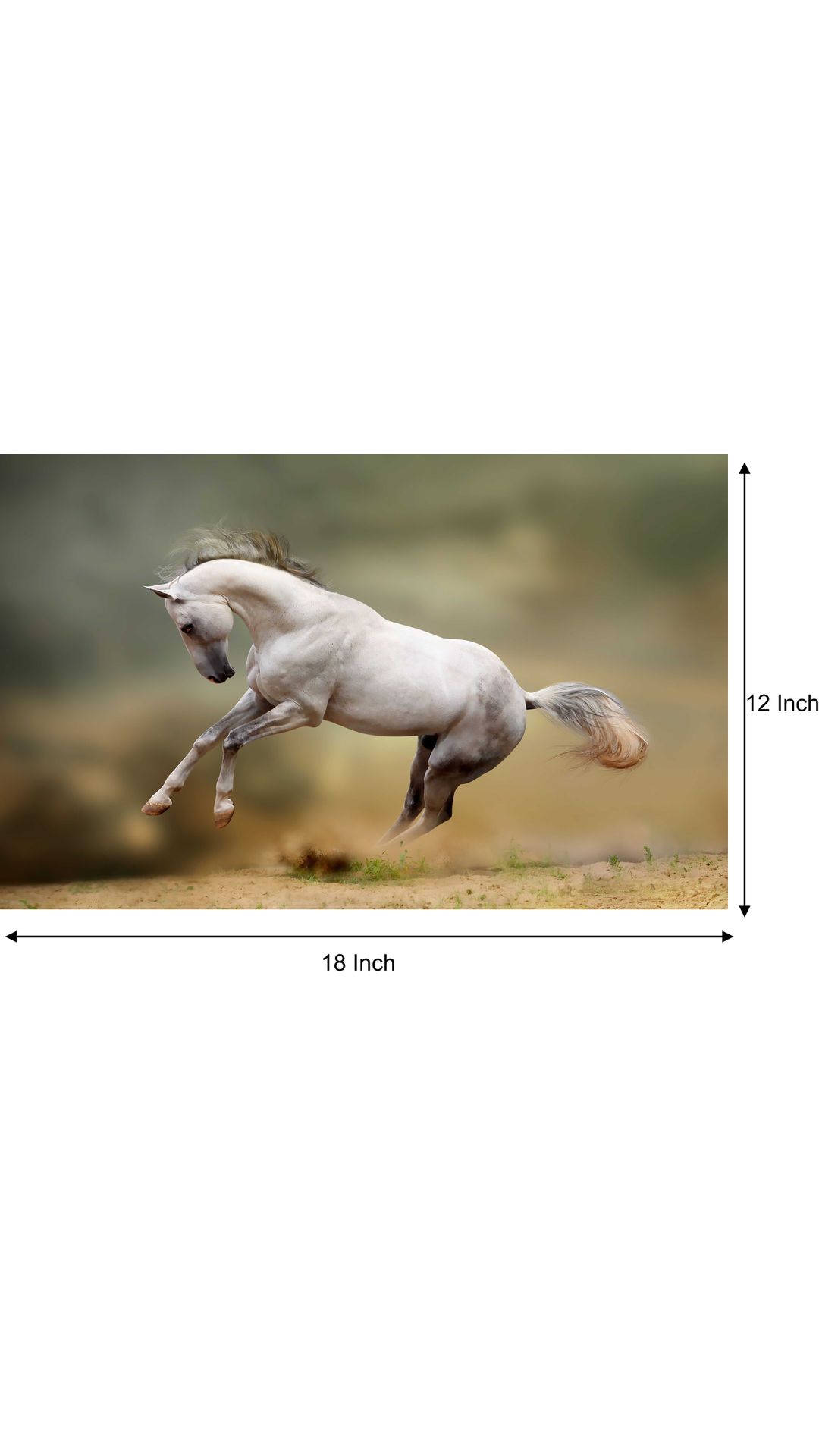 Buy Horse Poster horse posters running horse poster horse wall