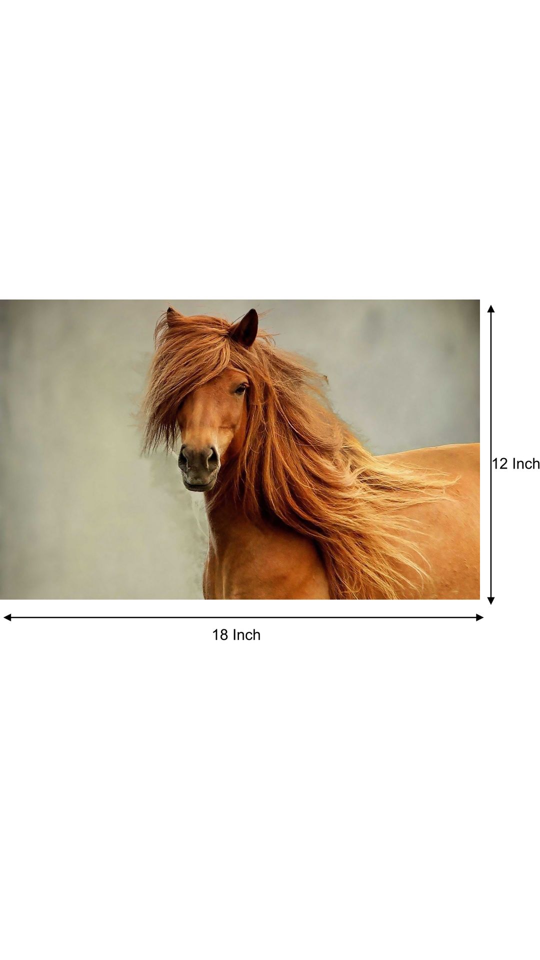 Buy Horse Poster horse posters running horse poster horse wall