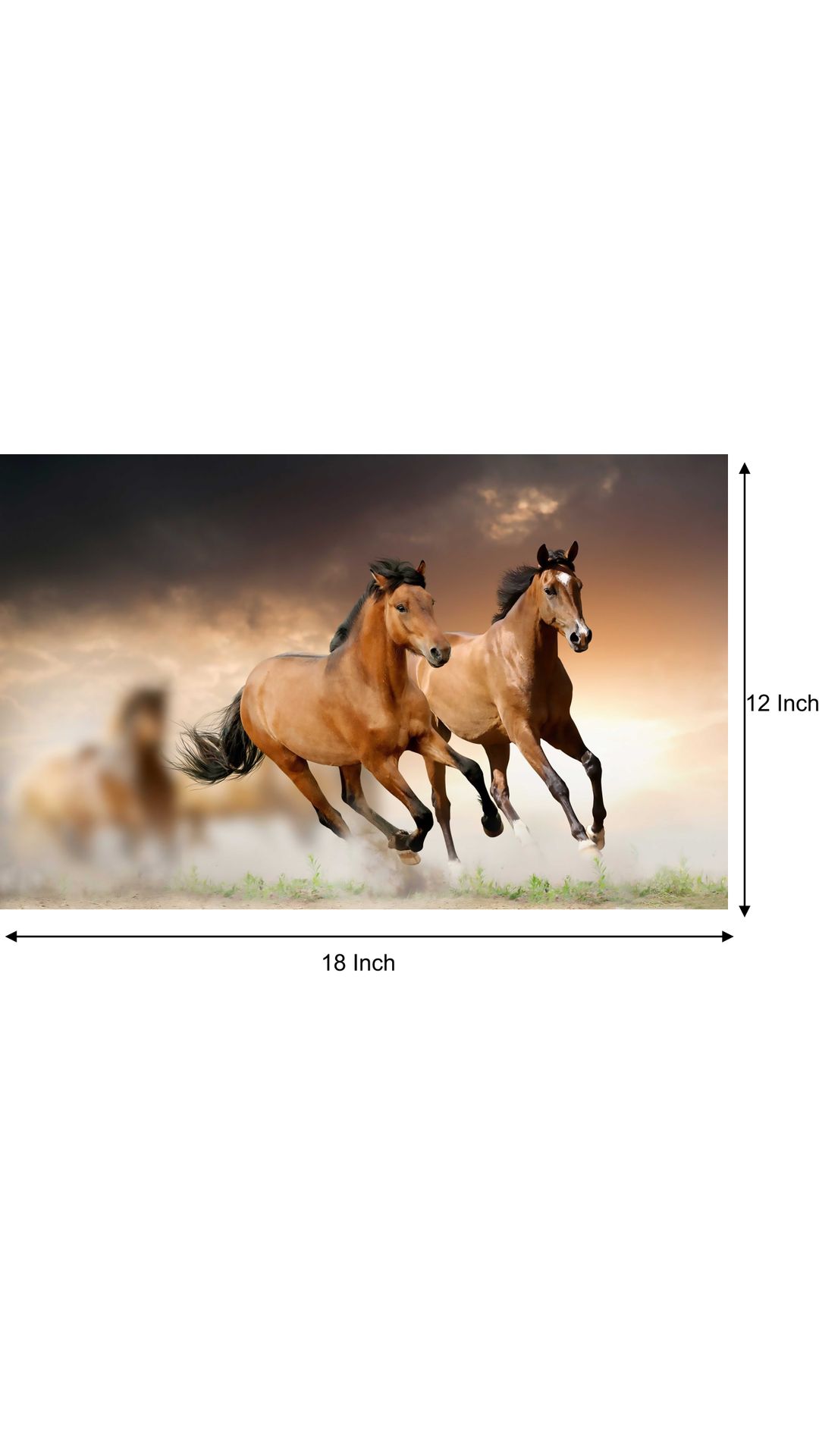 Buy Horse Poster horse posters running horse poster horse wall