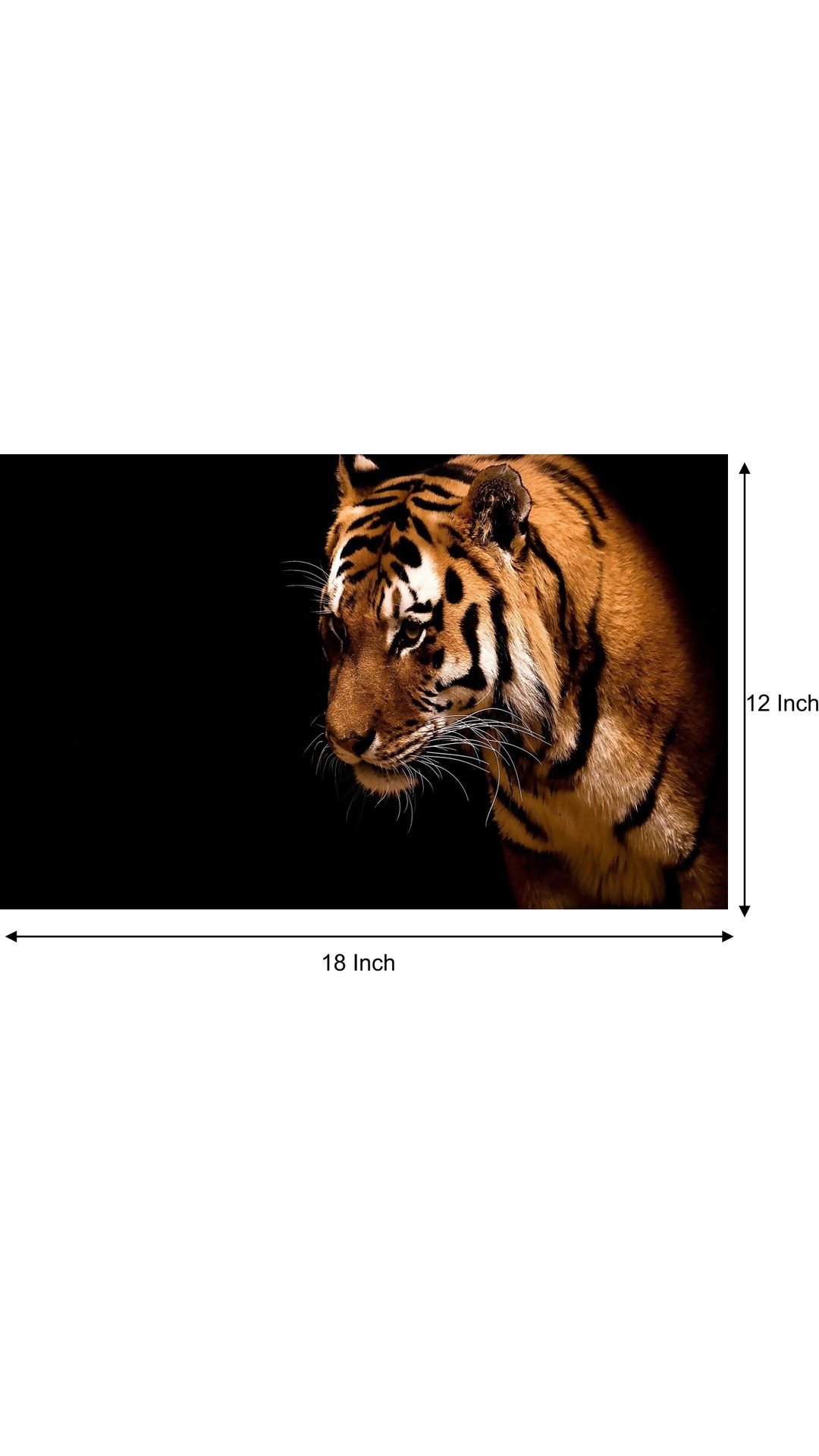 Buy Roar Tiger Poster - Tiger posters - Tiger poster for room - tiger ...