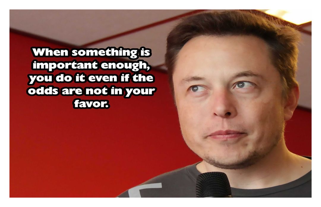 Buy Elon Musk Posters | elon musk posters | elon musk inspirational ...