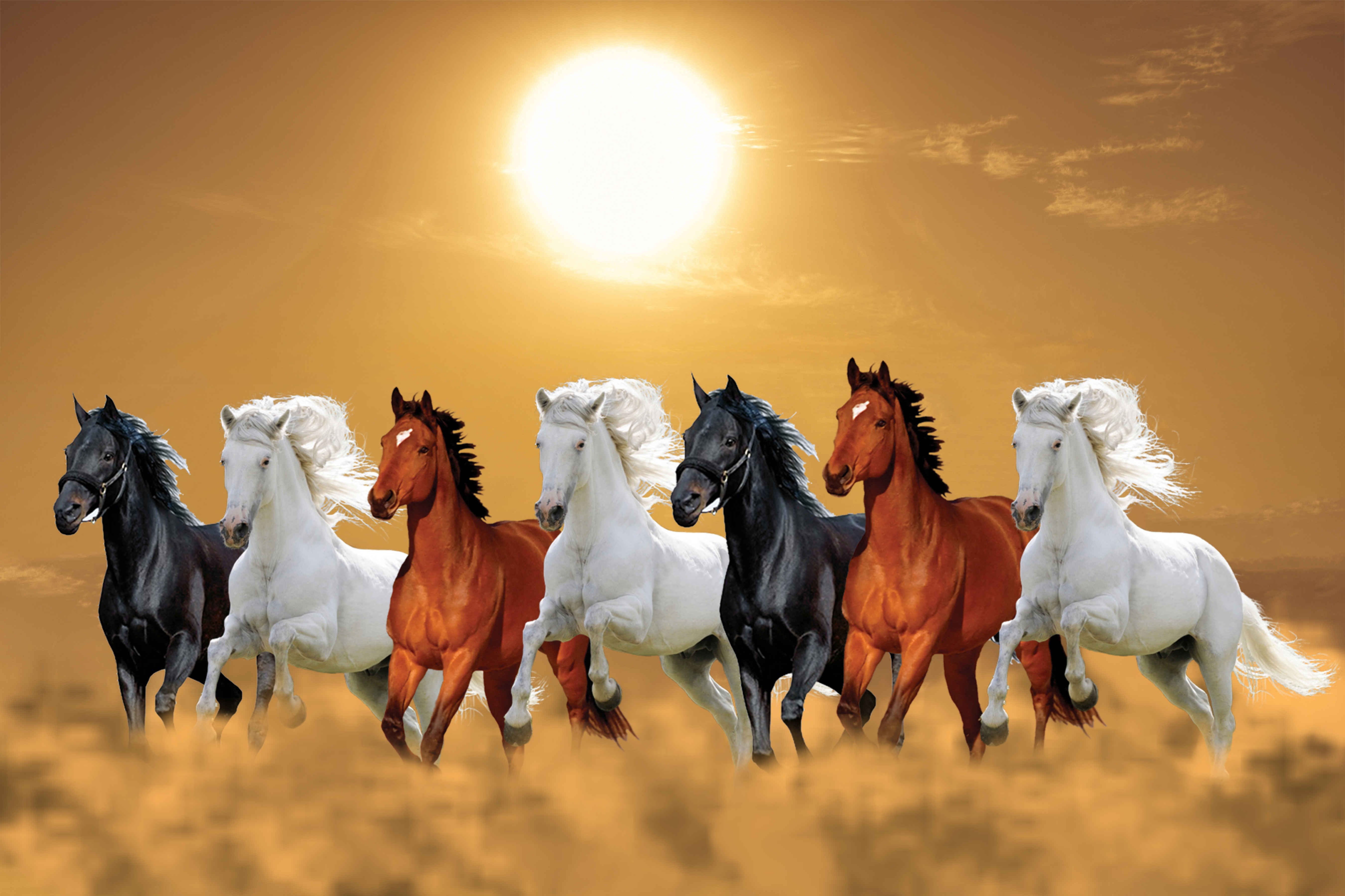 Лошадка на 7. Табун белых лошадей. Семь белых лошадей. Баннер с лошадьми.
