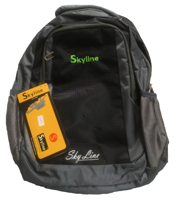 Buy Skyline Grey Laptop Backpack Unisex backpack College/Office Bag