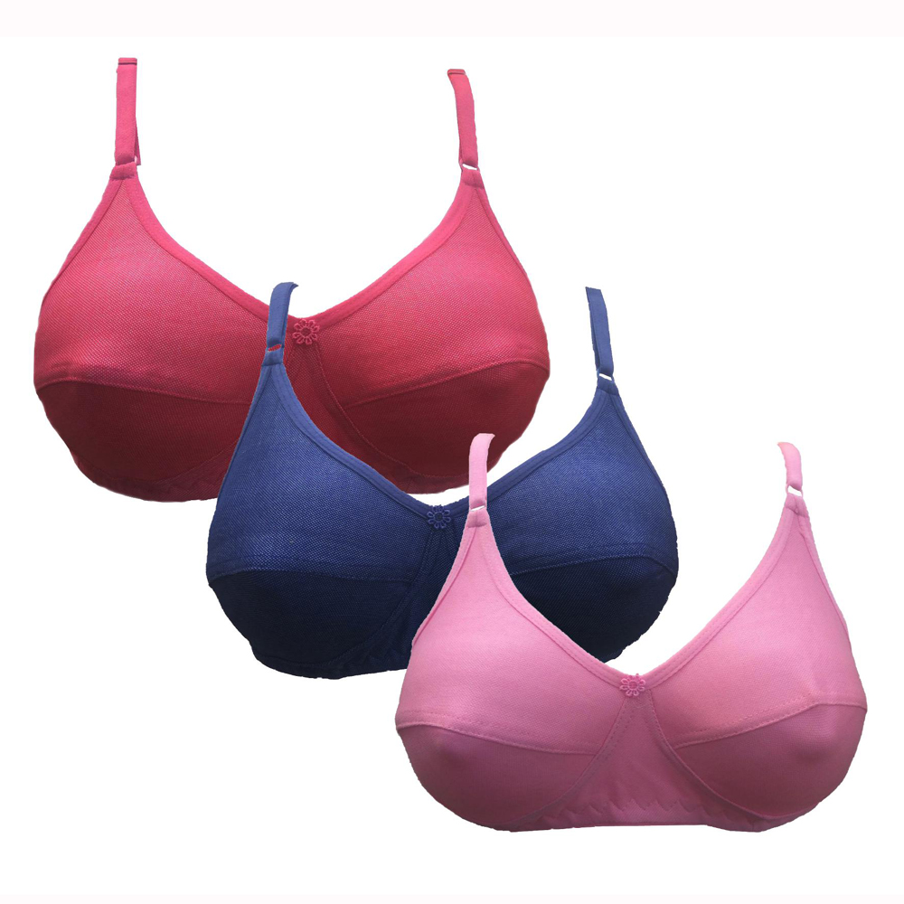 Buy Minha Seamless Non-Padded T-Shirt Bra Pack Of 3 (Blue, Pink, Purple ...