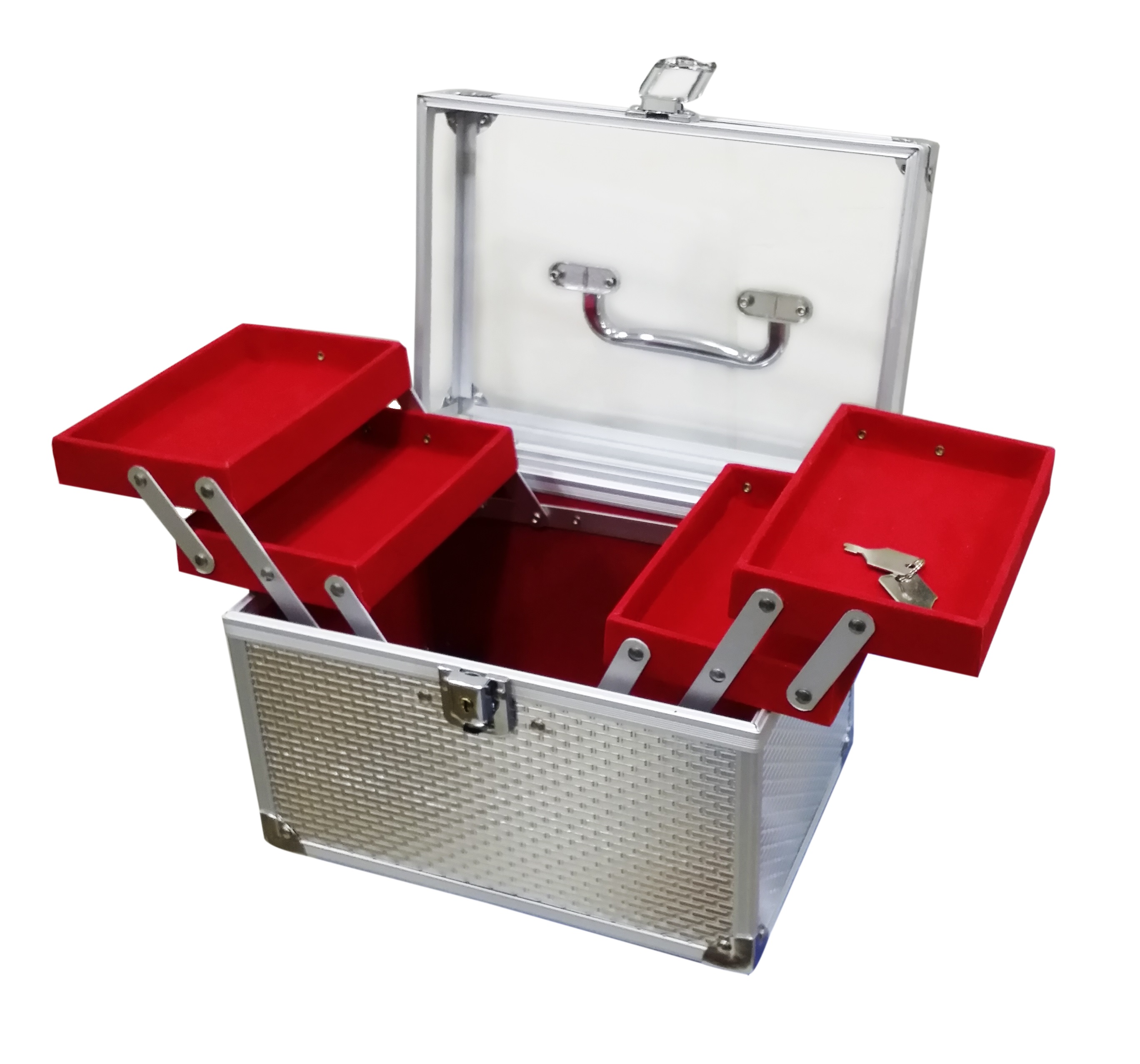 Buy Pride Daisy to store cosmetics Vanity Box (Silver) Online ₹200