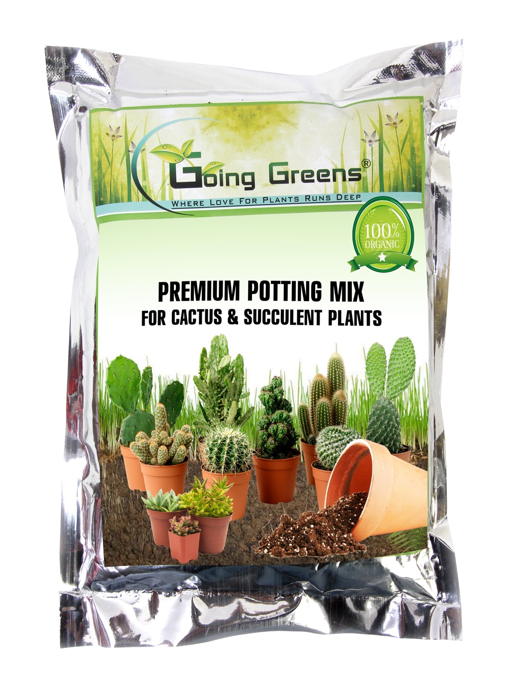 Buy Going Greens Premium Potting Mix for Cactus and Succulent Plants