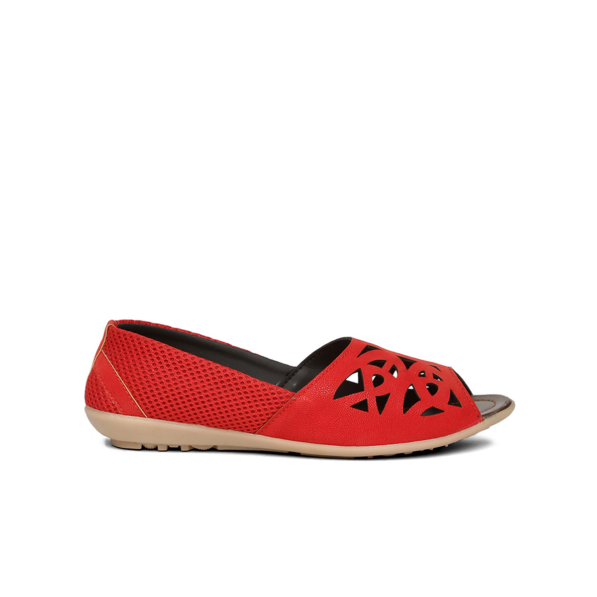 paragon solea