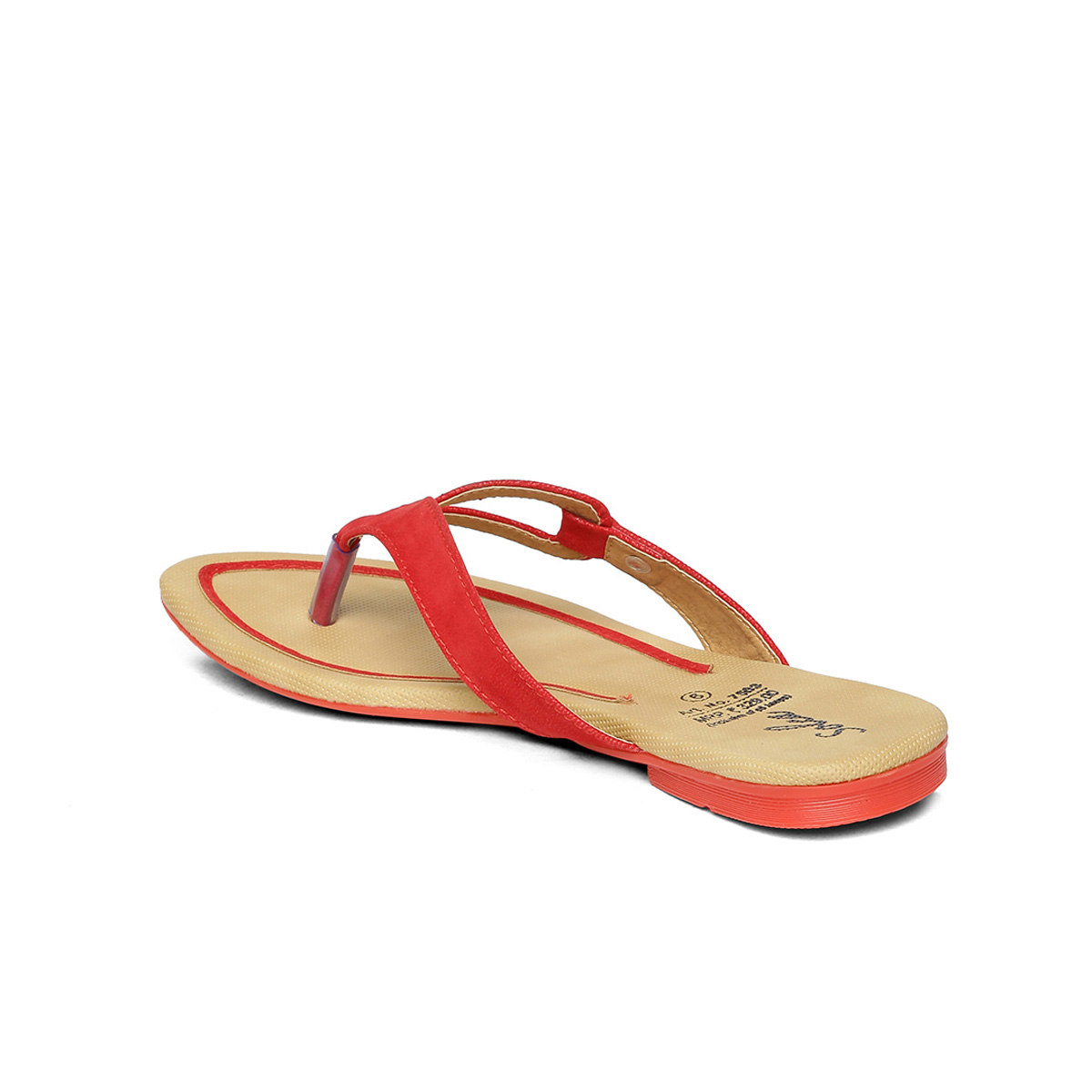 paragon solea