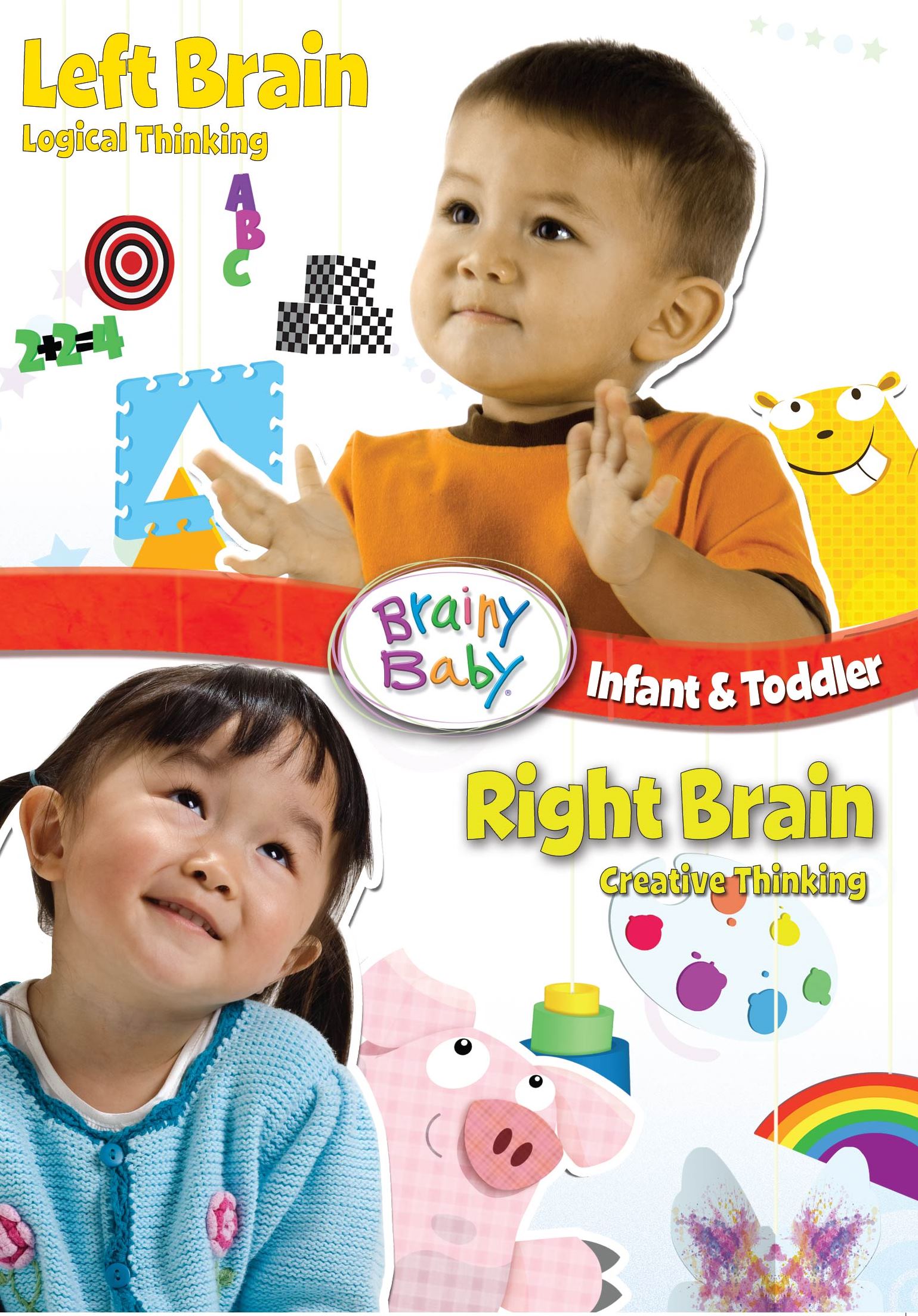 Buy Brainy Baby - Left Brain & Right Brain - DVD Online @ ₹299 from ...