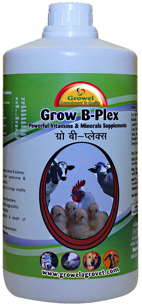 Buy Grow B-Plex -Vitamin B-Complex With Vitamin E ,Vitamin C,Amino ...