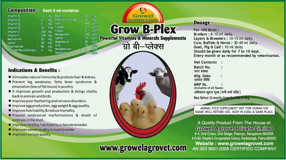 Buy Grow B-Plex -Vitamin B-Complex With Vitamin E ,Vitamin C,Amino ...