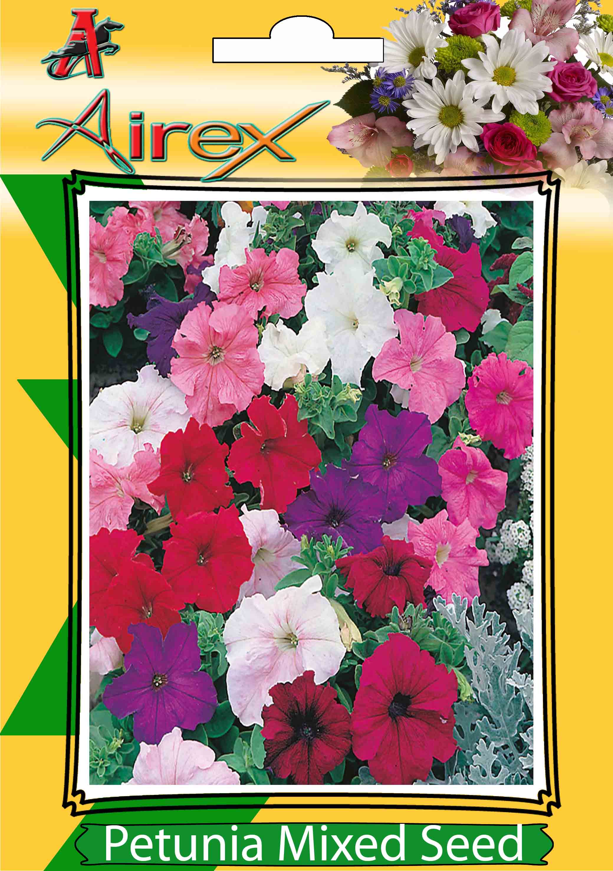 Buy Airex Petunia Mixed Flower Seeds (Pack Of 50 Seeds X 9 Per Packet ...