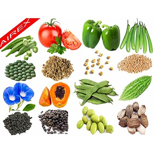 Buy Airex Lady Finger,Tomato,Capsicum,Green Brinjal,Morning Glory ...