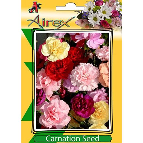 Buy Airex Carnation (Winter) Flower Seeds (7 Packet Of Carnation) Pack