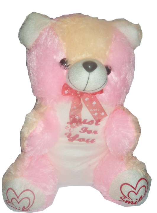 Teddy Bear, 12inch with  Just for you  Message, Medium size Soft Toy Gift