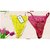 Multicolor Embroidered Net Panty(Pack of 1)