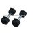BODY MAXX HEX DUMBBELLS 1 kg x 2 FOR WEIGHT TRAINING HOME GYM