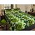 Homefab India 100 cotton Double Bed Sheet With 2 Pillow Covers (DBS067)