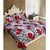 Homefab India 100 cotton Double Bed Sheet With 2 Pillow Covers (DBS073)