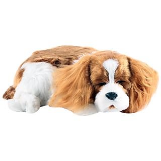 Perfect Petzzz Cavalier King Charles Breathing Pet Plush Toy at Best Prices Shopclues Online Shopping Store