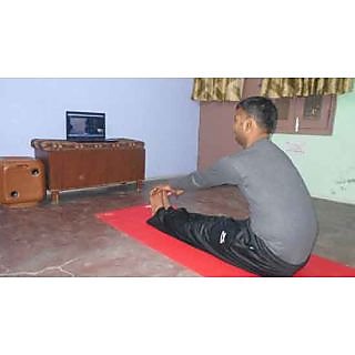 Yoga Training Online Group Classes For 2 Students- 12 Skype Yoga Lessons Program