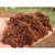 COCO PEAT Organic Soil Substitute for Garden, Pots, Planters in 100 gm Pack