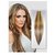 Women Multicolor Hair Highlighter Extension - 10 highligter pcs