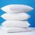 iLiv White Polyster Fiber filed Vacuum 4 Pillows White