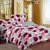 Story Home White 100 Cotton Candy 1 Double Bedsheet With 2 Pillow Cover-CN1216